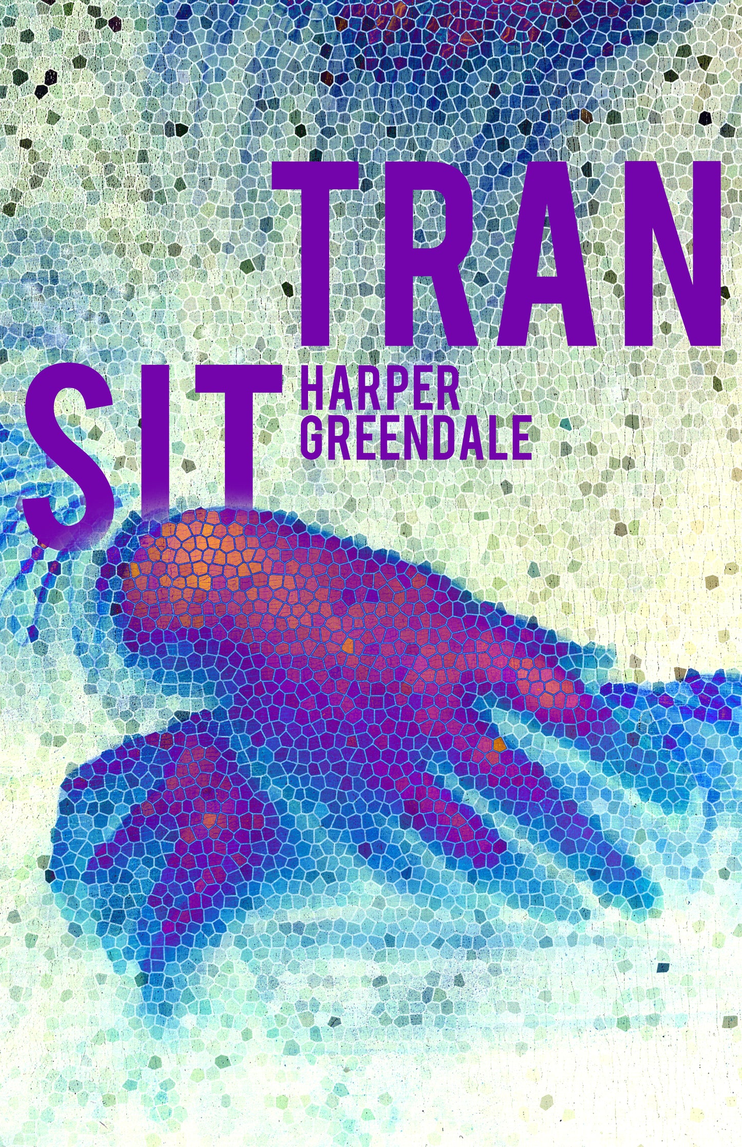 Transit (E-book), by Harper Greendale